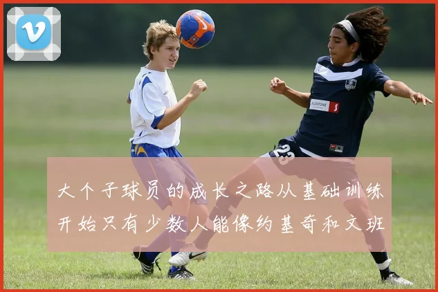 大个子球员的成长之路从基础训练开始只有少数人能像约基奇和文班那样成功